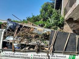 Best Basement Cleanout  in Olton, TX